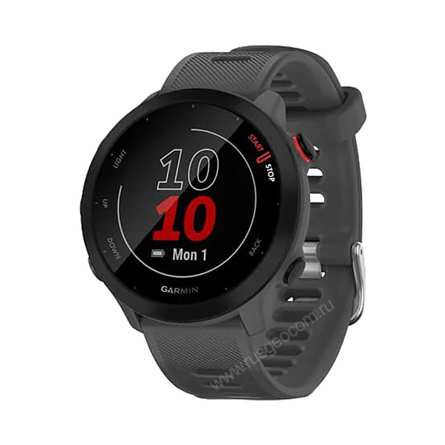 Часы Garmin Forerunner 55 серые